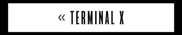 TERMINAL X