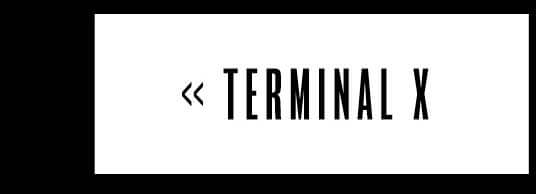 TERMINAL X